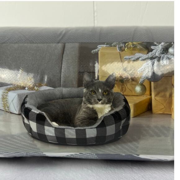 Vibrant Life Round Cuddler Small Dog / Cat Bed Black and White Plaid 19"x6", NIB - Picture 1 of 7